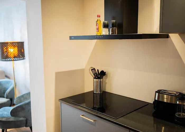 Apartman Historical 80m2 Retreat With Sauna Option - R51b