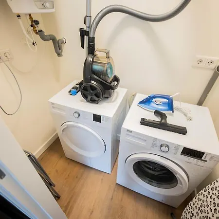 Historical 80m2 Retreat With Sauna Option - R51b アパート *