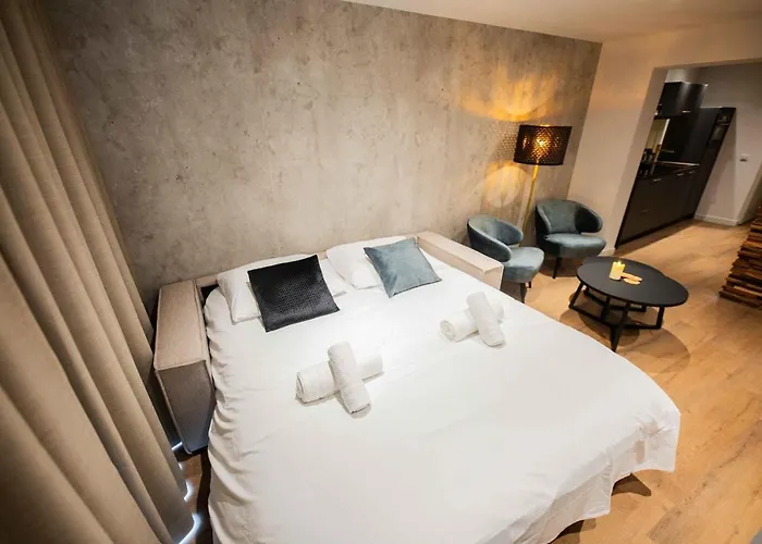 Historical 80m2 Retreat With Sauna Option - R51b * Eindhoven